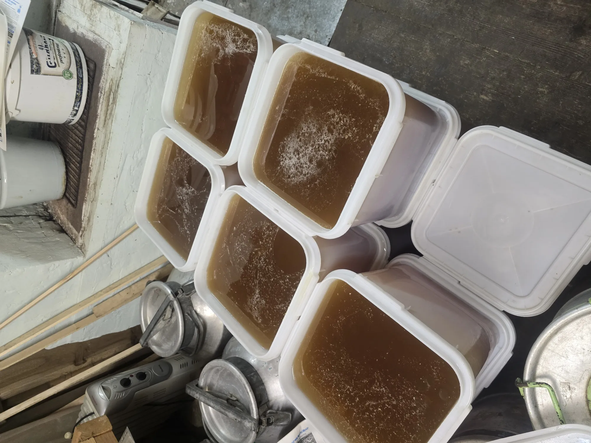 пчелопакеты краснодарский